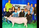 The Culp sisters hope to continue advocating for disability inclusion in and out of the show ring.