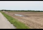Some of the fields that have been farmed are facing ponding issues. 