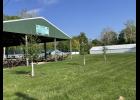 Photo by Megan Galbreath Three new Ginkgo trees have been planted behind the entertainment stage at the 4-H fairgrounds.