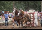 Horsepower was on display in the pulling arena during the horse pull by the Northern Indiana Horse Pullers Association.