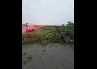 Photo provided. Pulaski County deputies assisted in clearing trees to help keep roads open on Tuesday, Aug. 11.