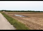 Ponding and wet fields this spring made it almost impossible for farmers to get into the fields to plant. Because of the saturated fields Gov. Holcomb is asking for 88 counties to be declared a disaster.