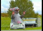 Scabby the Rat was recently seen holding a banner that accused U.S. Aggregates of using “rat contractors."